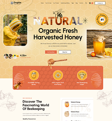 Home page 03